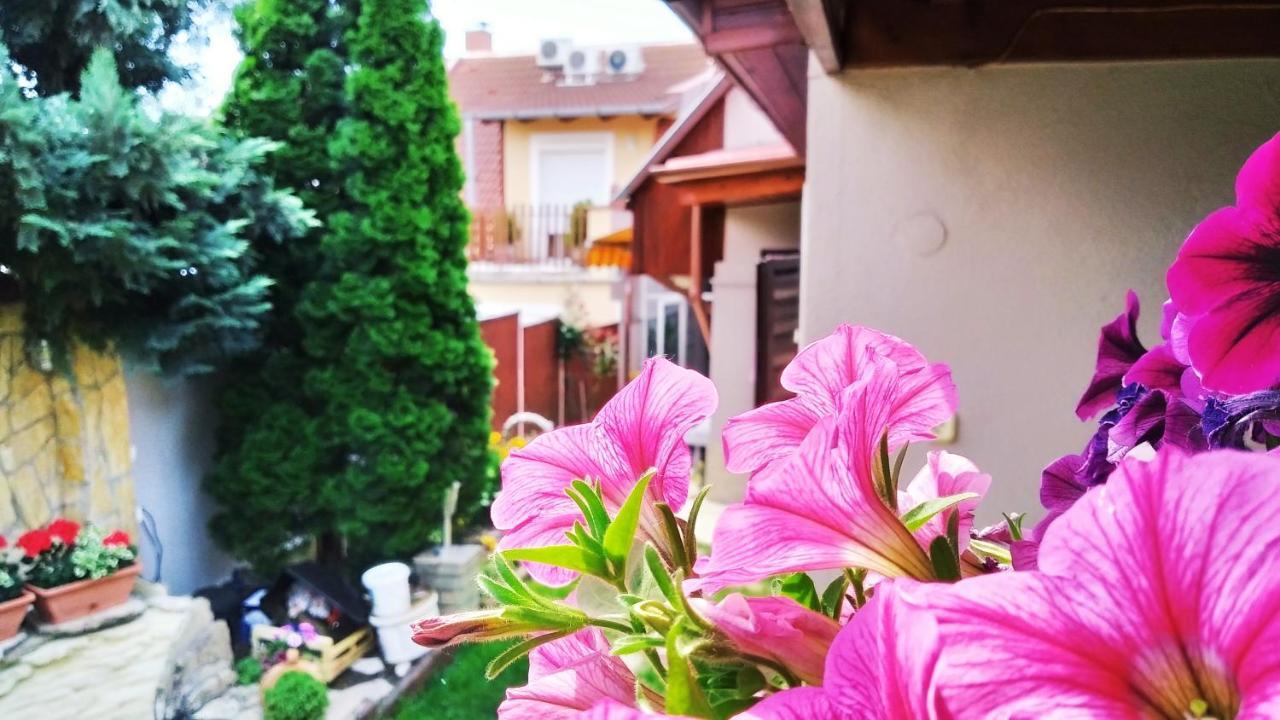 Csobogo Vendeghaz Διαμέρισμα Έγκερ Εξωτερικό φωτογραφία